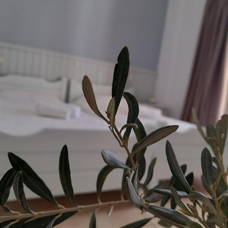 Bed and Breakfast Elia Skála Zewnętrze zdjęcie