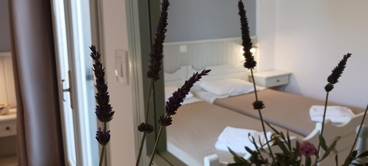 Bed and Breakfast Elia Skála Zewnętrze zdjęcie